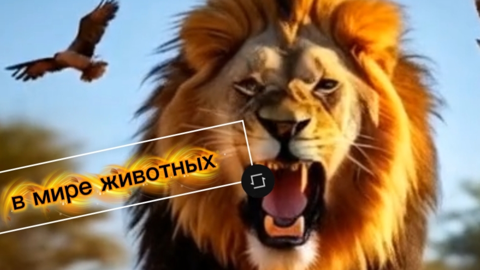 В мире животных — гармония природы и легендарная музыка