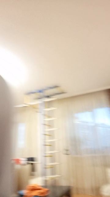 драйвер Сан Франциско