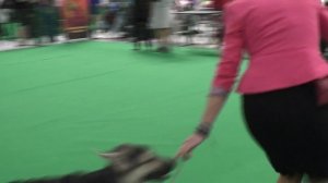 СБ Даюна с Планеты Альфа