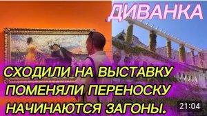 САМВЕЛ АДАМЯН, МИСС ВОНГ, СХОДИЛИ НА ВЫСТАВКУ DOlCE VITA, НАЧИНАЮТСЯ ЗАГОНЫ, ПОМЕНЯЛИ ПЕРЕНОСКУ..