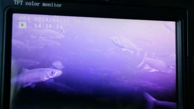 Республика Саха Якутия село Агдары, речка Ар5аа Дьэли.