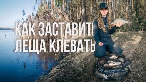 Рабочая тактика на леща весной. СЕКРЕТ закорма на ВОДОХРАНИЛИЩЕ.