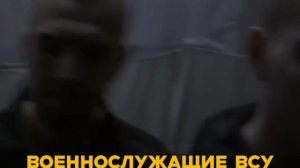 Вновь очередное сохранение жизни.