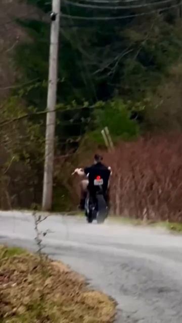 Motorcycle •[ЕКБ] МОТО• Любовь к мотоциклам начинается здесь! (4)