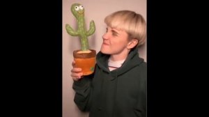 битбокс батл с кактусом