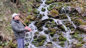 А почему бы не сыграть плясовые!