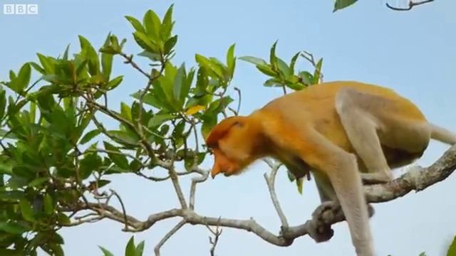 Калейдоскоп 97.