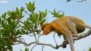 Калейдоскоп 97.