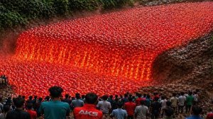 Самые невероятные моменты природы, когда-либо снятые камерой. Лучшая подборка