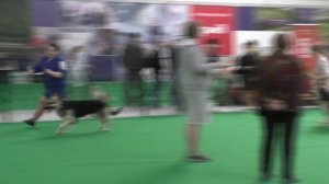 Сравнение класса юниоров