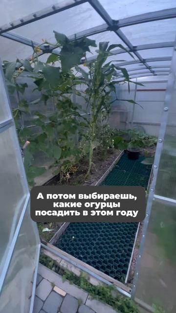 У кого так же?