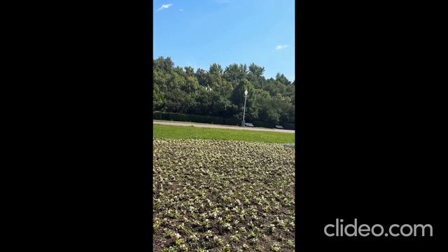 Мультиподписка СберПрайм