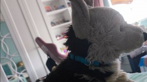 Влог с Окси (мини новости)