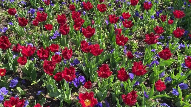 25.04.2026 Анапа