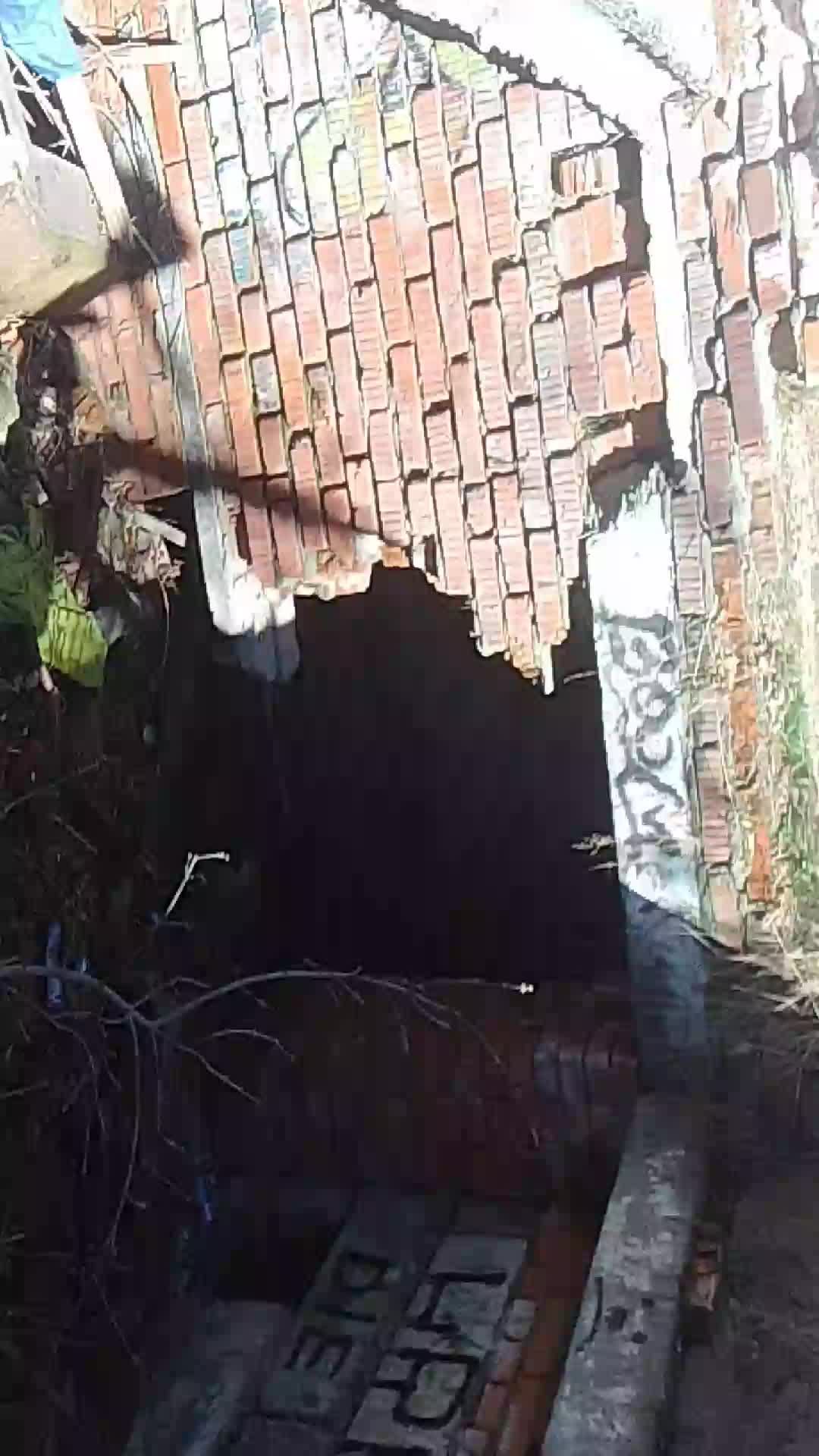 ходим по заброшке