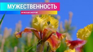 Мужская энергия. Мужественность. Уверенность | Саблиминал
