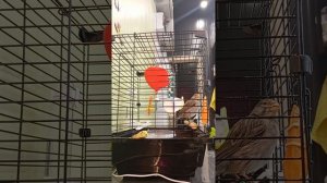 ни секунды покоя 🤣