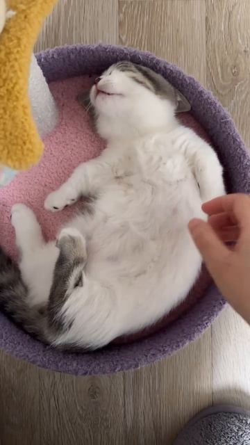 Video_2026-03-09_13-30-19