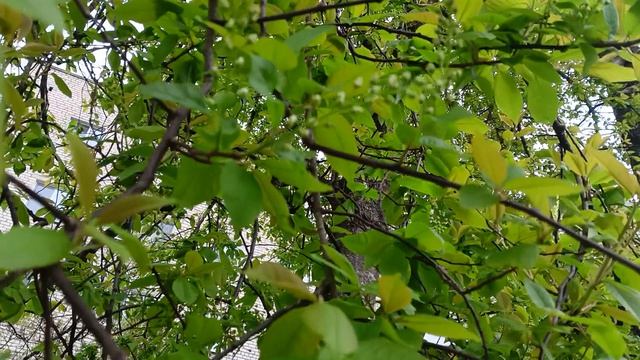 Погода меняется каждый день. 26 апреля 2026 года.