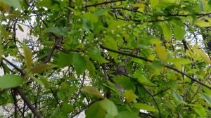 Погода меняется каждый день. 26 апреля 2026 года.