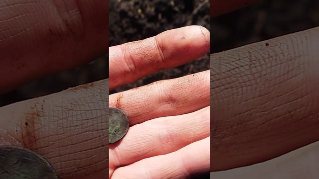 Поиск монет💰💰💰💰