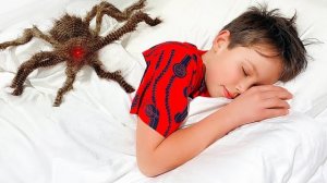 Макс и Катя их истории про комнаты