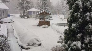 Зима вернулась. Метель. Ленинградская область