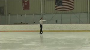 Лебедь. Камиль Сен - Санс и Виталий Опекан.