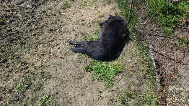 Херсонщине 26 апреля 2026 года