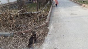 Встреча с Максиком.