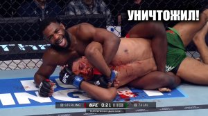 СОЖРАЛ МОЛОДОГО! Полный Бой Алджамейн Стерлинг VS Юсеф Залал UFC / Смотреть UFC