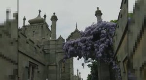 2008 Крым 10 Алупка Воронцовский дворец