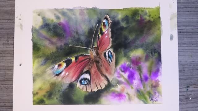 Светлый или темный фон — как нарисовать бабочку акварелью