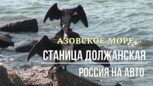 АЗОВСКОЕ МОРЕ. ГДЕ ЛУЧШЕ ОТДЫХАТЬ. ЕЙСК. СТАНИЦА ДОЛЖАНСКАЯ.