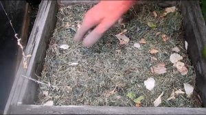 Грунт для рассады табака делаем сами (компост-субстрат)