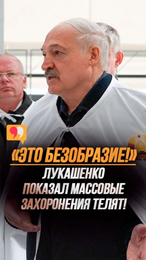 Лукашенко про падёж: Хотел журналистам показать одну фотографию! ОНИ С УМА СОЙДУТ! #shorts