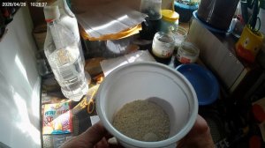 И снова моя грибница. Начинаю эксперимент по выращиванию мицелия на агаре.