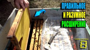 РАСШИРЕНИЕ ПЧЕЛИНОГО ГНЕЗДА. КАК И КОГДА СДЕЛАТЬ ЭТО ПРАВИЛЬНО. ПЧЕЛОВОДСТВО 26-11