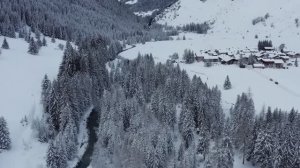 Тайга - сердце планеты | Документальный фильм о дикой природе