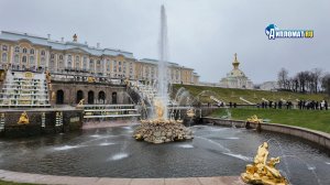 «САМСОН ПРОСНУЛСЯ!». Петергоф открыл сезон — главный фонтан России запустили под музыку