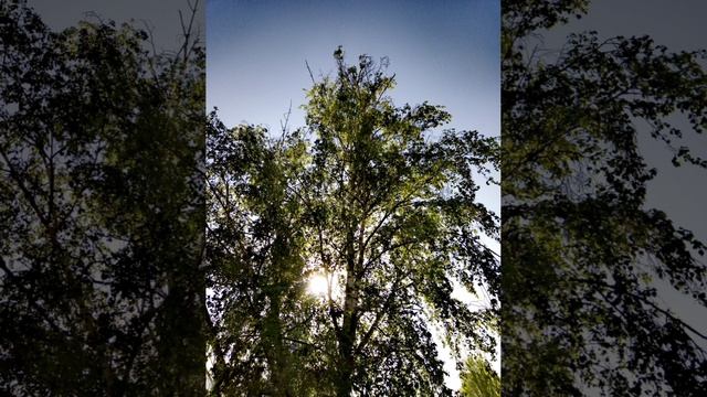 Апрель!, чёрт возьми, в разгаре! (моё личное стихотворение)