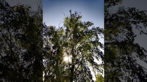 Апрель!, чёрт возьми, в разгаре! (моё личное стихотворение)