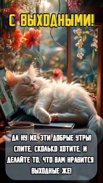 Доброе ,воскресное утро, Друзья!☕💐🌿💖