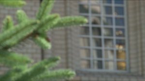 Быть женщиной - великий шаг. Странница