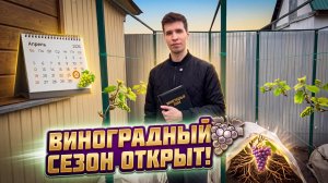 Открыл сезон ВИНОГРАДА 2026