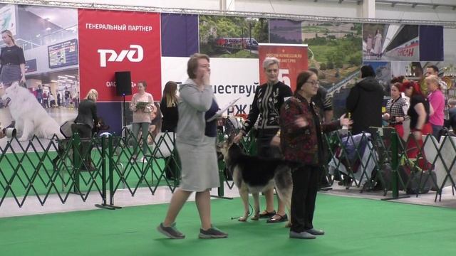 Алекс Занарди