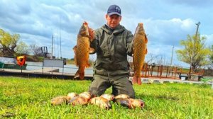 Не ожидали такого клева сазана на эту снасть в апреле