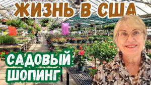 Садовый шопинг в США Что продают и по каким ценам Впервые посажу виноград в США что я купила