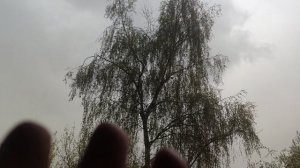 26 апреля магический пасмурный и дождливый прогноз погоды от волшебника... но ☀️ будет вам