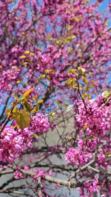 Весна у моря!